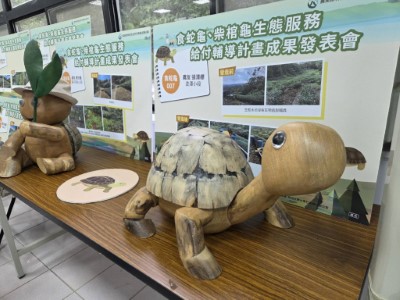 新北石定永安社區利用枯倒木(烏心石及楠木)製作烏龜藝術裝置