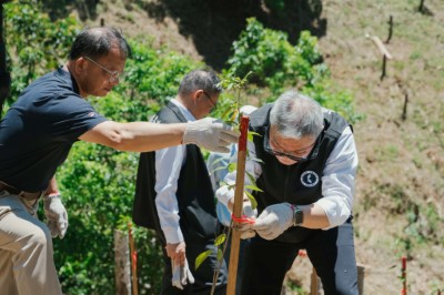 林業保育署嘉義分署媒合根基營造推動「攜手種樹守護台灣爺蟬的家」專案，與嘉義新美部落、草山社區及嘉義大學合作種下台灣爺蟬喜愛的台灣梭羅木