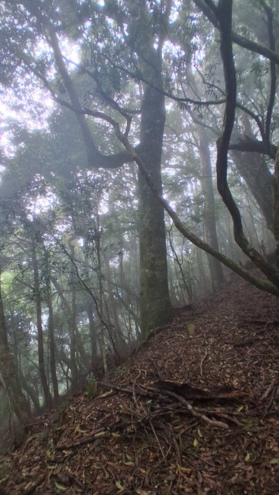 1.油羅山一景-新竹分署周佳崴提供