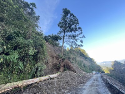 8日晨巡發現崩塌坡面有危木1