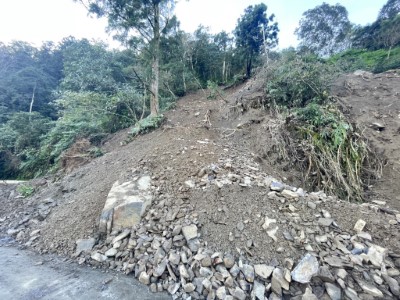 8日晨巡發現崩塌坡面有危木2