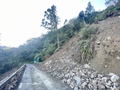 8日晨巡發現崩塌坡面有危木3