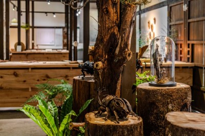 展覽現場以三大主題呈現森林融入生活的想像，「木居生活」單元邀集14位藝術家與工藝家，透過多元媒材創作，具體展現「森林．家」的藝術風貌。