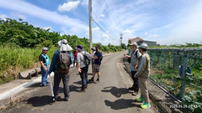 圖六、林業保育署邀集專家指導新竹分署移除人員協同苗栗縣政府農業局人員於民眾綠鬣蜥通報處進行現勘。(新竹分署提供)