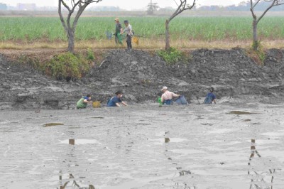 參與民眾自備的各種補魚器材捕撈外來種魚類(嘉義縣鳥會陳建樺總幹事攝)