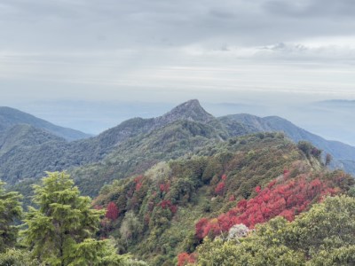 鳶嘴稍來山國家步道滿山楓紅