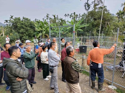 電圍網上層設置3層以上高電壓低電流的電牧導線防治獼猴危害農作，下層底座及縫隙加固防範山豬入侵