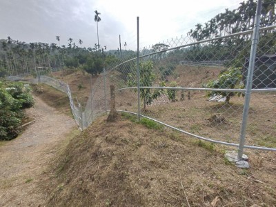 電圍網兩側植株皆經過修剪或清除，避免成為獼猴試圖翻越時的踏腳點