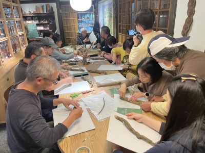 民眾製作之藤本植物標本，將典藏於羅東林業文化園區「樹民種子屋」，作為環境教育展示素材