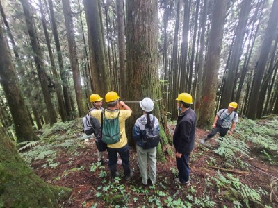 林業保育署嘉義分署提供大阿里山地區部分林班地，讓嘉大學生將教室移到大自然，實際參與體驗森林經營現場工作