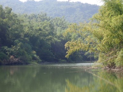 5.經在地居民共同命名「羅漢門保安林」