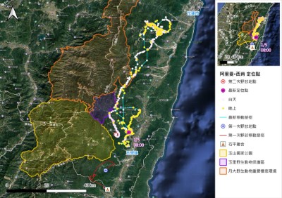 長距離往北移動直線距離達64公里，停留活動一段時間之後，再度往南折返回到野放地東側不遠之聚落，展現極佳的導航記憶與返家能力，是目前已知台灣黑熊活動範圍面積最大的個體。
