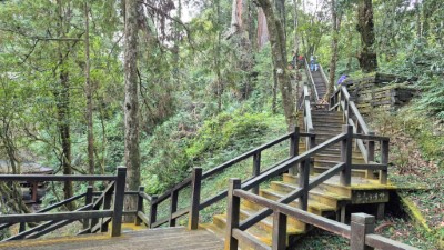 林業保育署嘉義分署預計於115年1月19日至116年5月31日辦理阿里山國家森林遊樂區巨木群棧道(香林神木-神木車站段)更新及步道改善作業