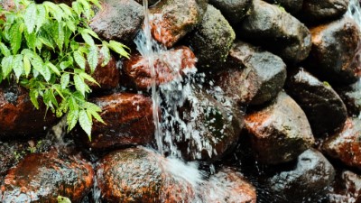 八仙山國家森林遊樂區親水區景色(照片：林業及自然保育署臺中分署)