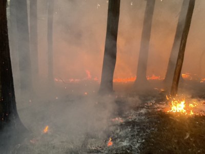 圖2、救火隊觀測員115年1月15日下午3時抵達火場勘查，現場火勢猛烈。(新竹分署提供)