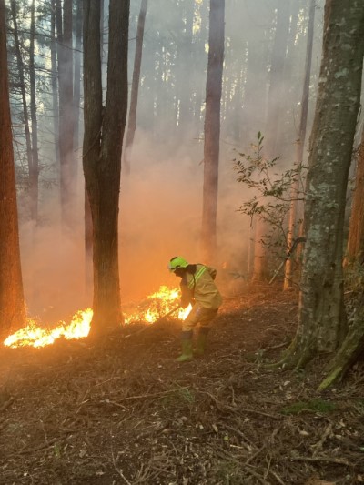 圖4、現場火勢猛烈，救火隊員正以釘耙移除地上燃料，開設防火線，避免火勢延燒擴大。(新竹分署提供)