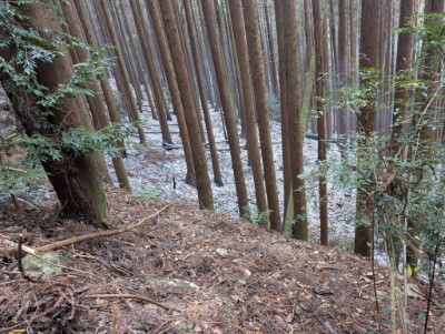 圖8、救火隊員執行火場清理，確認火場已完全撲滅。(新竹分署提供)
