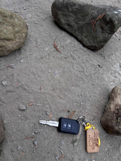 里佳地區發現的黑熊腳印約15公分，經專家判定為成熊