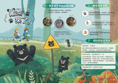 人熊相遇因應措施