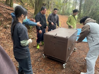 林業保育署嘉義分署與生多所、野聲環境生態團隊依據現場環境商討野放位置