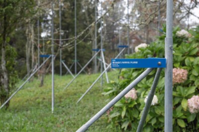 《從森林到森林》戶外藝術裝置位於沼平公園，用藝術手法娓娓道出歷史的痕跡