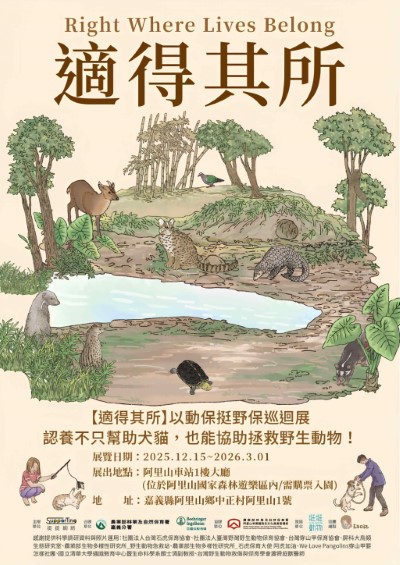 阿里山車站一樓展出《適得其所》巡迴展，邀請民眾認識遊蕩犬貓與野生動物間的關係
