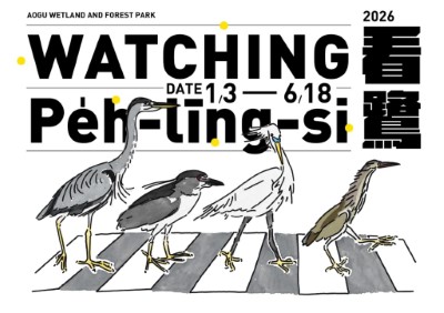 鰲鼓濕地生態展示館邀請民眾一起好好《看鷺》，透過賞鳥、觀展及DIY活動了解不同鷺科鳥類生態