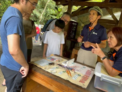 圖五、志工細心介紹昆蟲身體特徵（攝影：林業保育署新竹分署提供）