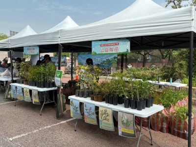 贈送苗木皆採可分解苗盆