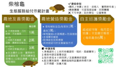 圖1.115年柴棺龜生態服務給付示範計畫懶人包(農業部生物多樣性研究所提供)