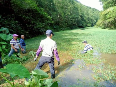 中華社區清除員山鄉冷埤水禾