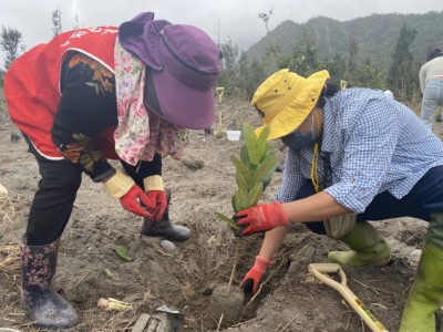 林保署臺東分署、INNISFREE、小馬部落共同植樹1