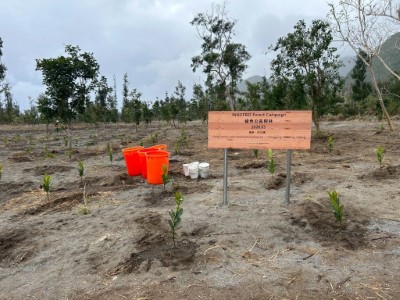 眾人植樹成果