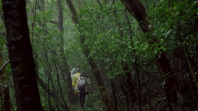 獅子鄉雙流地區自有其野性生命的不馴之森