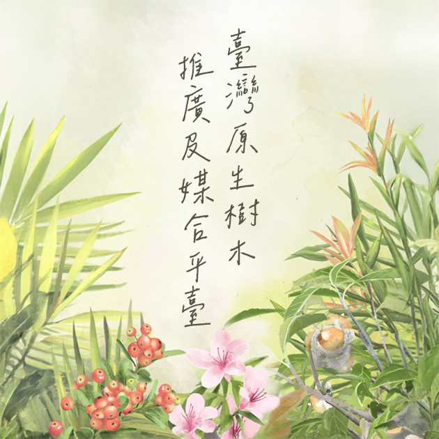 臺灣原生樹木推廣及媒合平臺