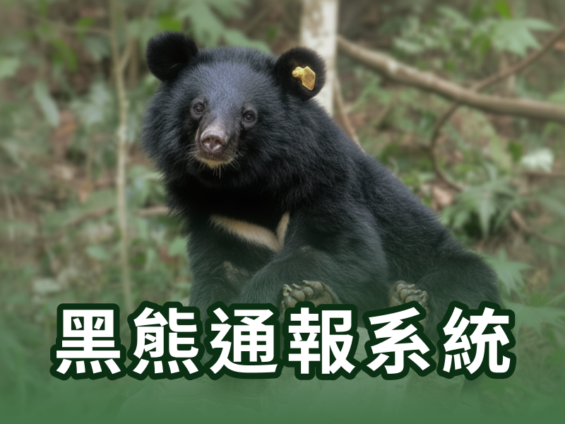 黑熊通報系統