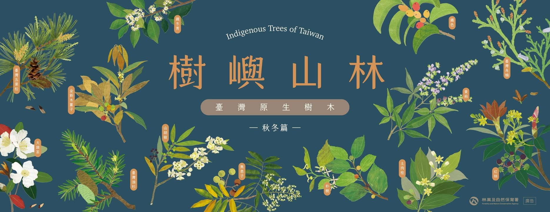 貼文圖片