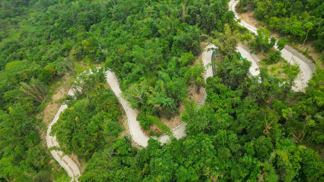 【南山林道路段修復完成，關鍵 3 到 6 公里作業動線重新接上】

      🌲🌲🌲 南 山 林 道 復 通 啦 🌲🌲🌲
           3K ─────────────▶ 6K
...
