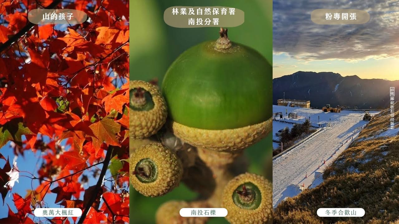 貼文圖片