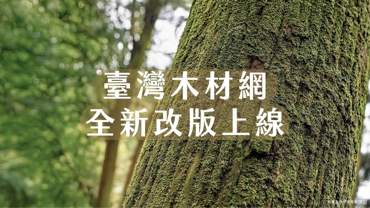 貼文圖片