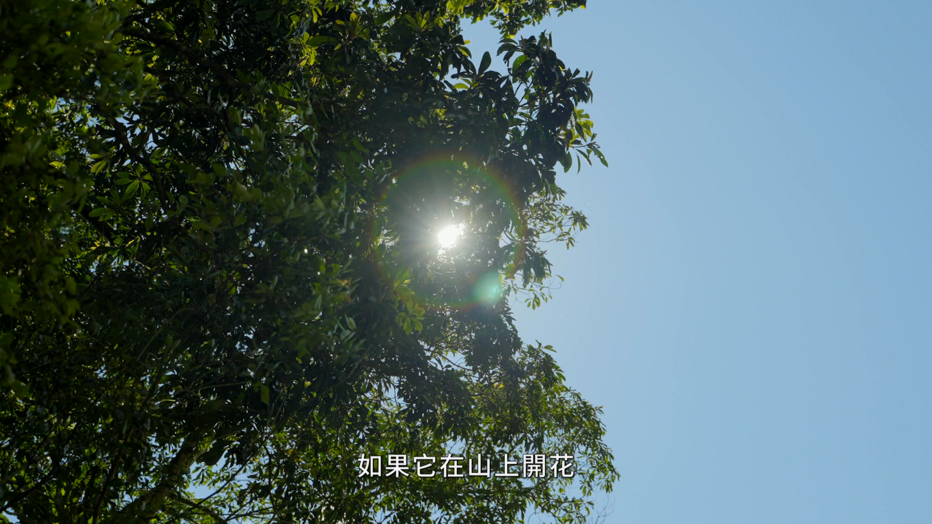 貼文圖片