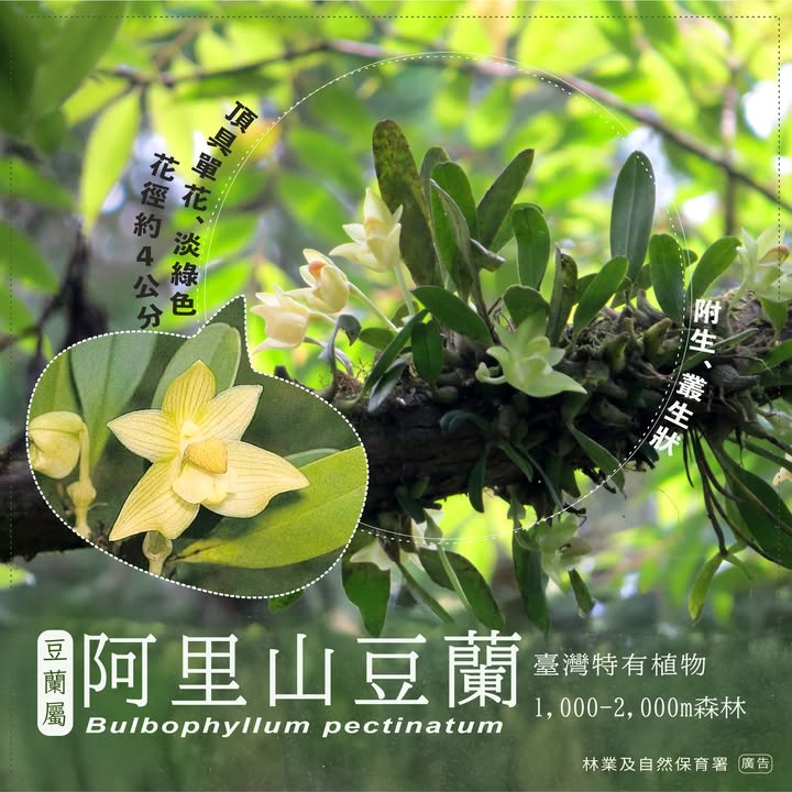 貼文圖片