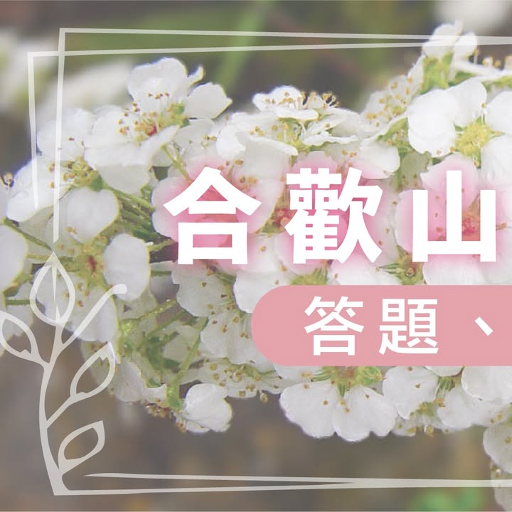 貼文圖片