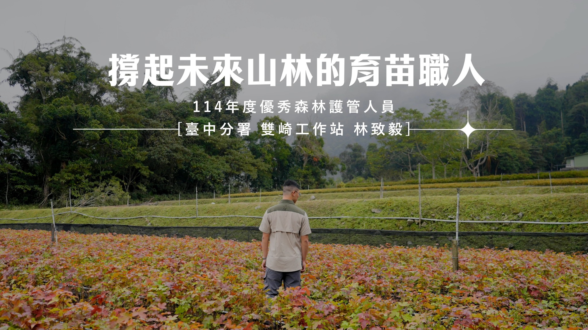 貼文圖片