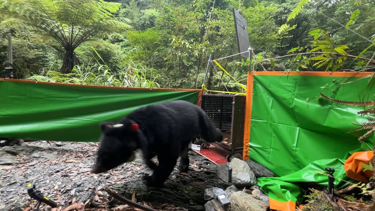 貼文圖片
