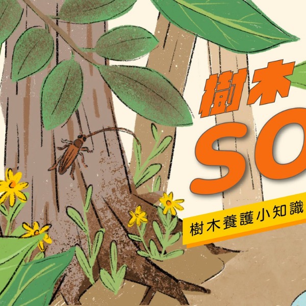 貼文圖片