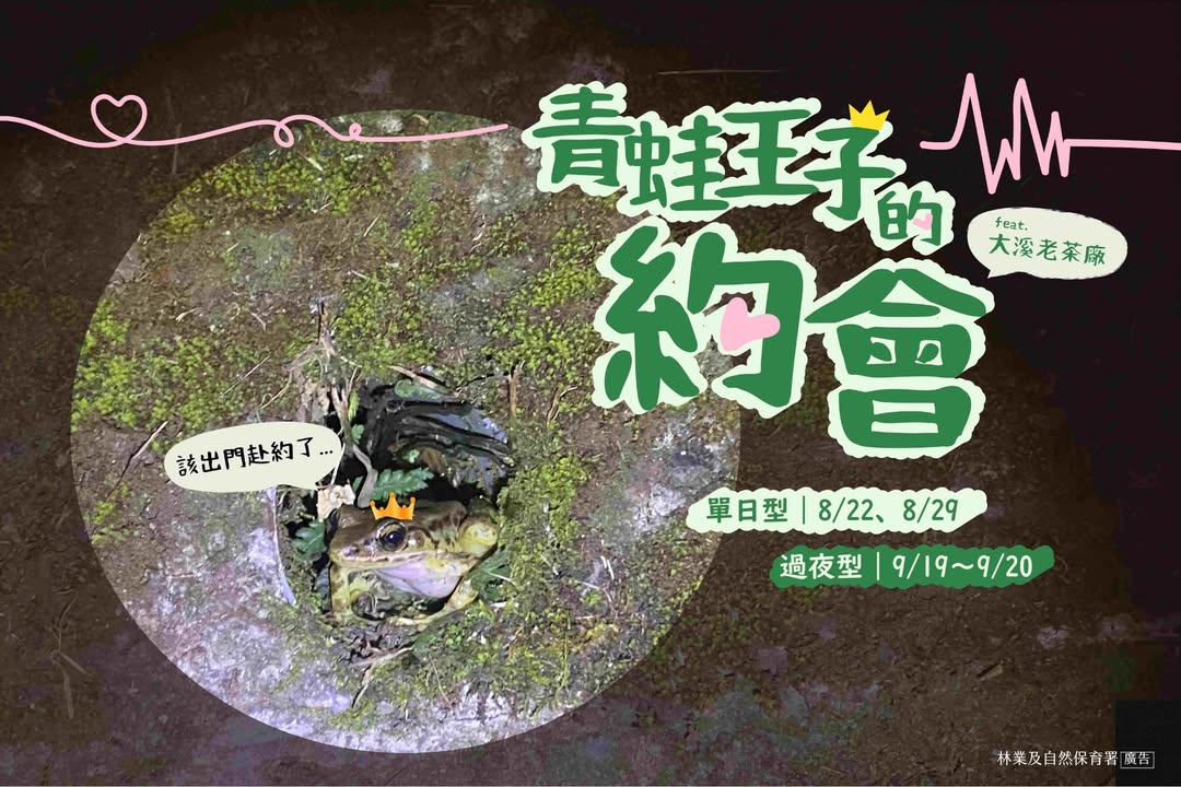 貼文圖片