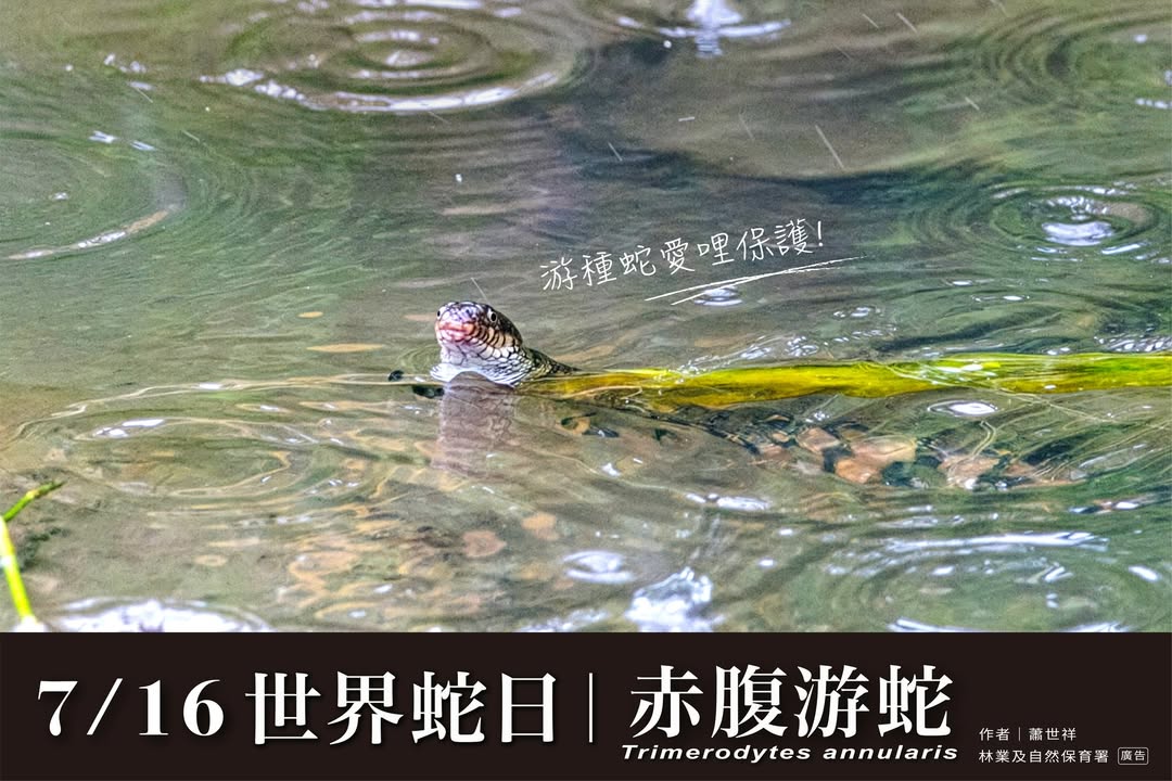 貼文圖片