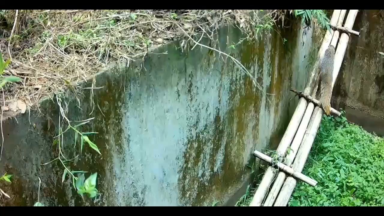 貼文圖片