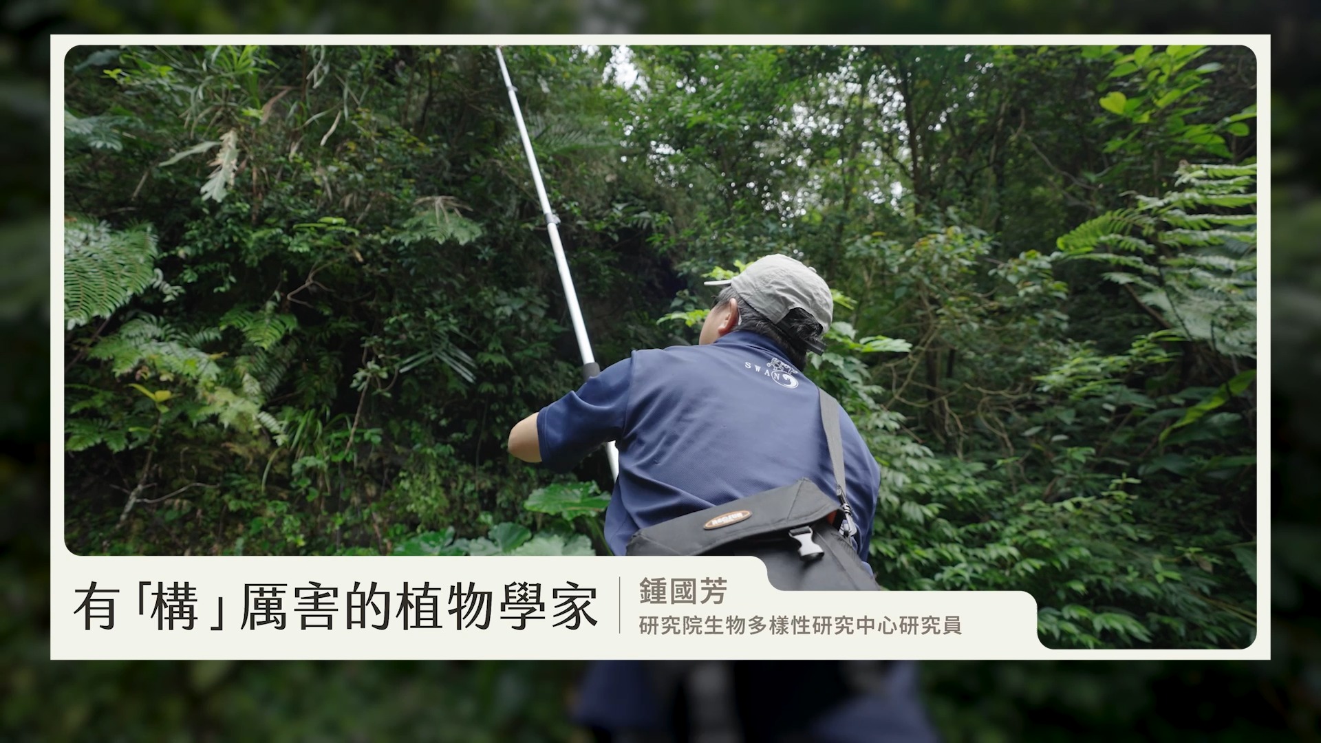 貼文圖片